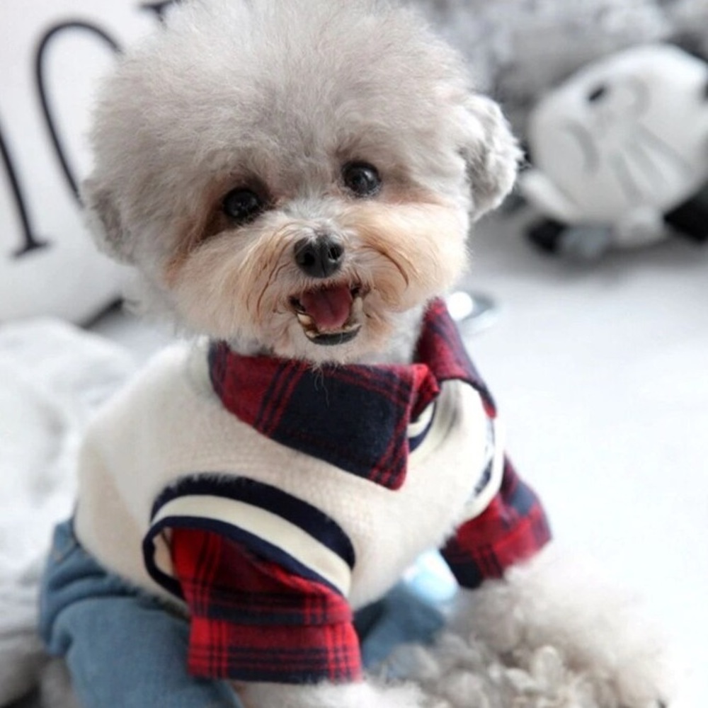 Vest For Dog Autumn Winter Pet Fashion Clothes Set For Small Medium Animal